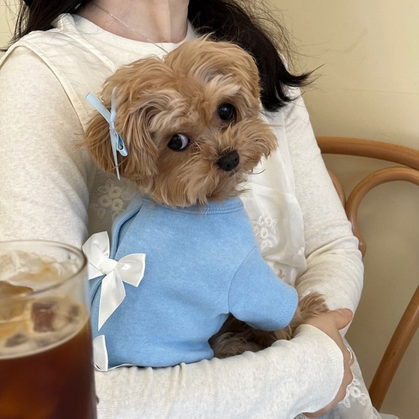 Winter Poodle Bottoming Shirt  - Winter Clothing For Dogs review and price