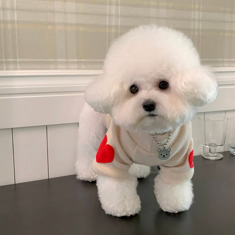 Dog Love Bottom Shirt Warm Pet - Winter Clothing For Dogs review and price