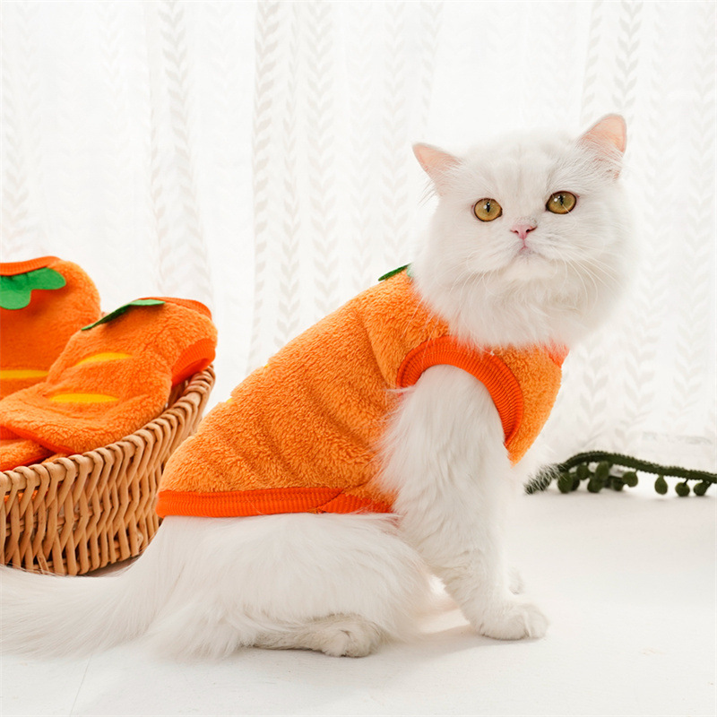 Pet Clothes Winter Warm Coats  - Winter Clothing For Dogs review and price