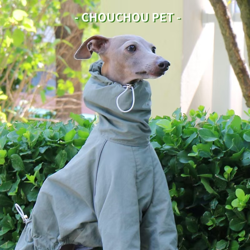 Italian Greyhound Raincoat Aut - Winter Clothing For Dogs review and price