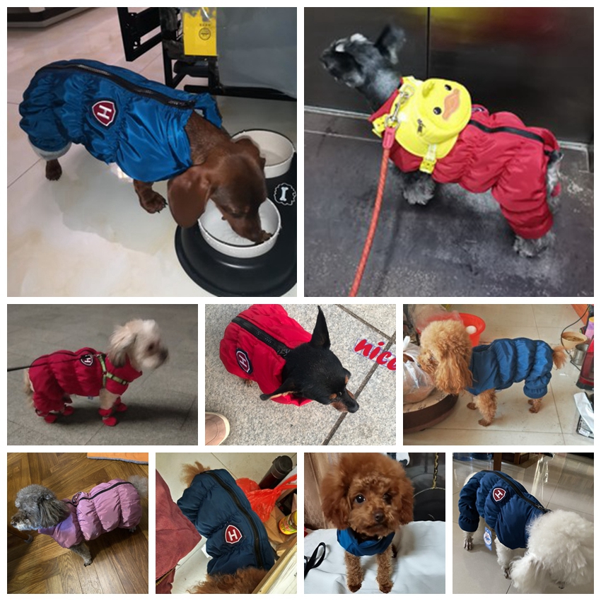 Zipper Snow Unisex Dog Waterpr - Winter Clothing For Dogs review and price