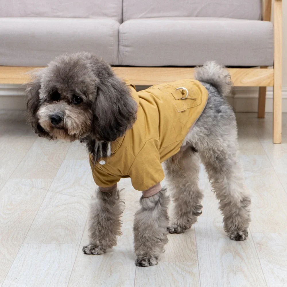 Pet Winter Thickened Hiking Co - Winter Clothing Hiking review and price