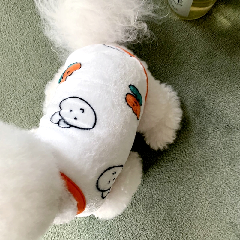 Beautiful Little Dog Rabbit Pa - Winter Clothing For Dogs review and price