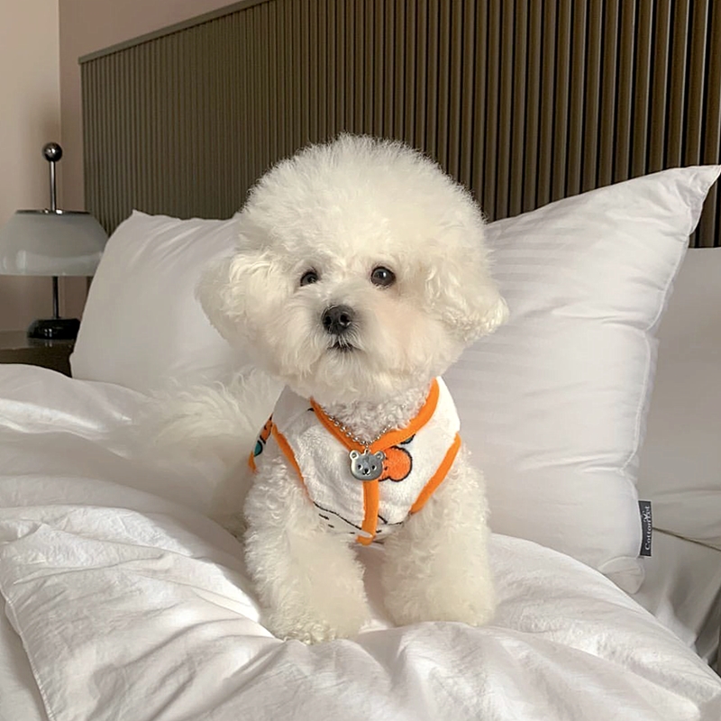 Beautiful Little Dog Rabbit Pa - Winter Clothing For Dogs review and price