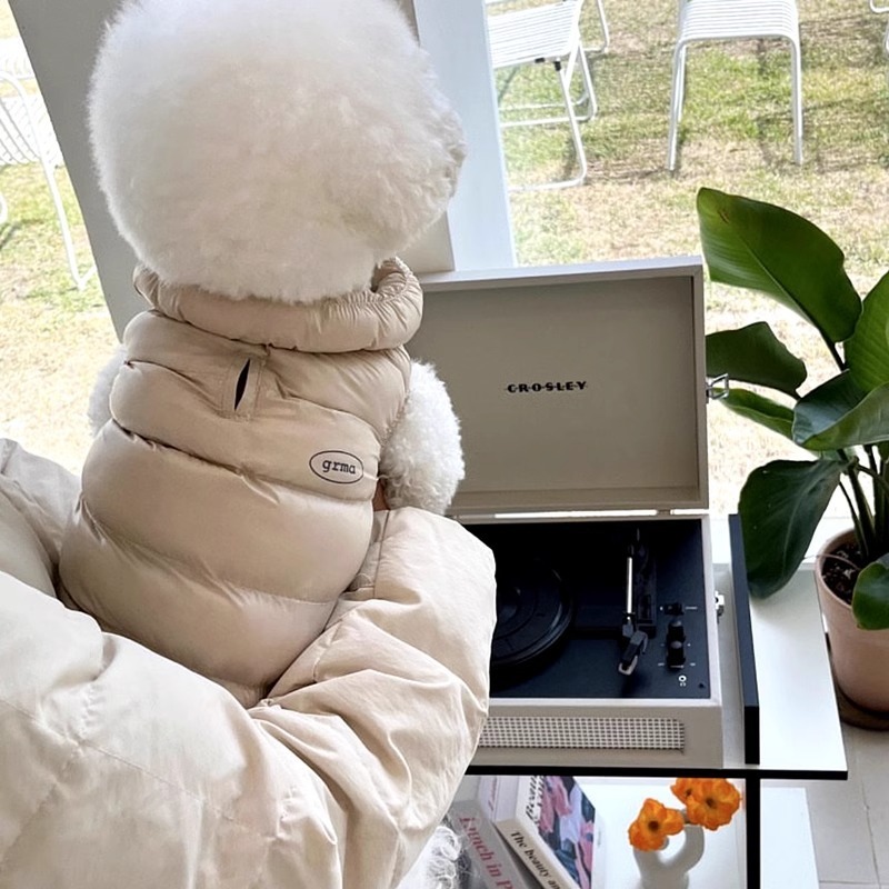 Morandi Color Minimalist Winte - Winter Clothing For Dogs review and price
