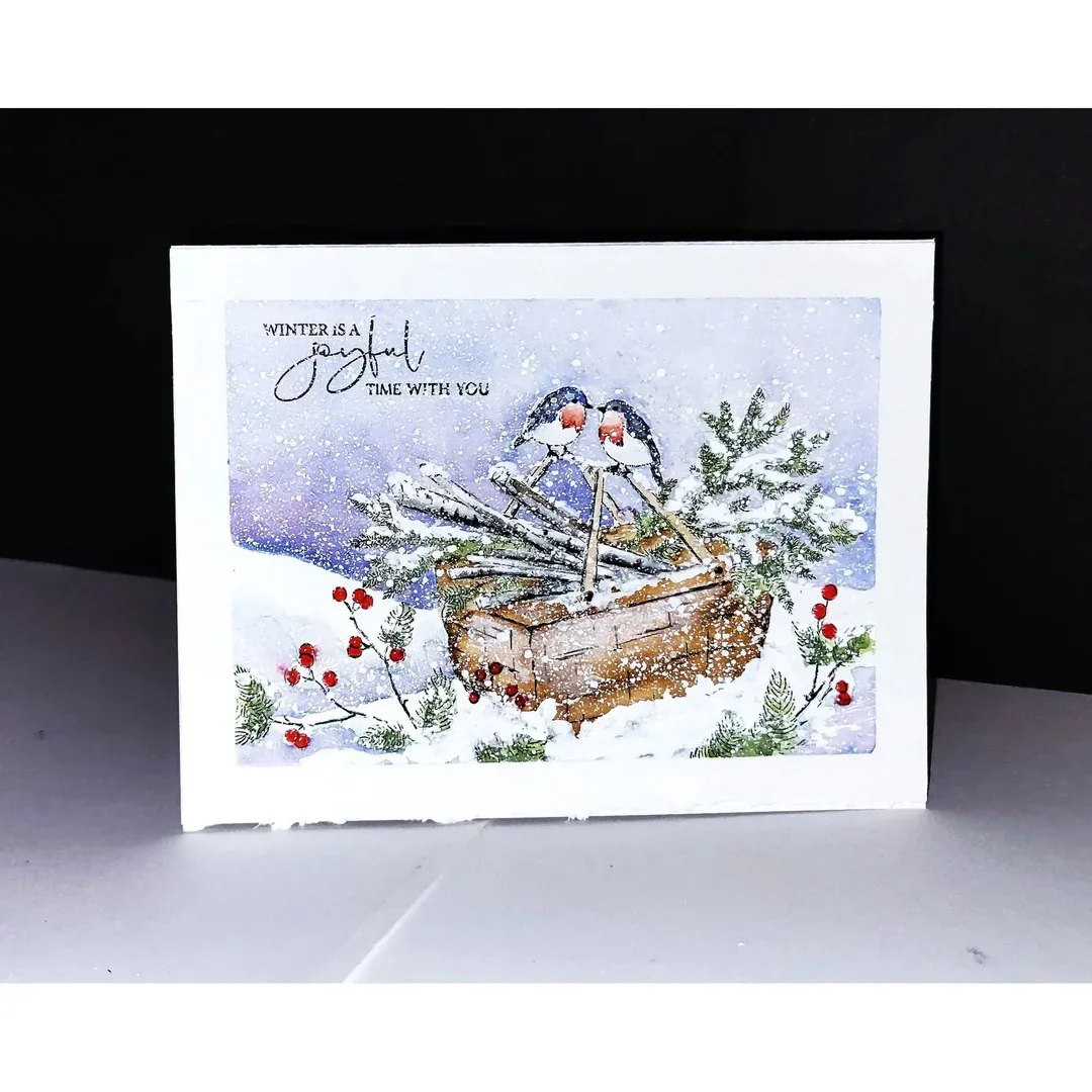 Christmas Snow Frosted Grove W - Winter Clothing Photo review and price