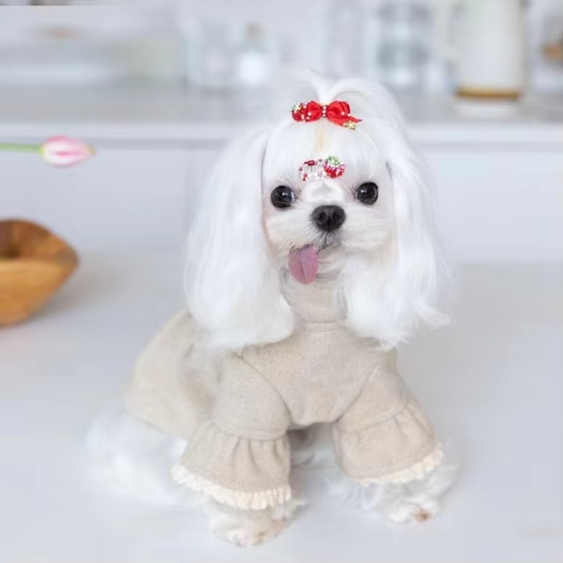 High-end Fall Winter Pet Cloth - Winter Clothing On Sale review and price